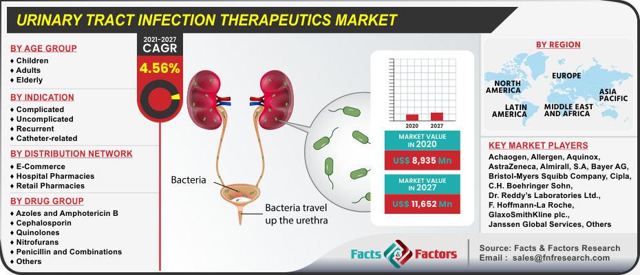 Urinary Tract Infection Therapeutics Market